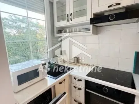 Izdavanje, dvosoban stan, 47m², Vračar Sve Podlokacije, Beograd - image 4