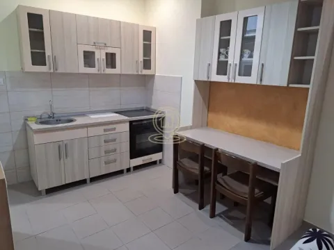 Izdavanje, jednosoban stan, 31m², Centar, Kragujevac - image 17