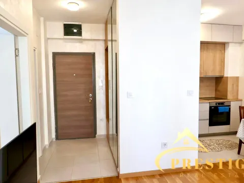 Izdavanje, jednosoban stan, 49m², Zabjelo, Podgorica - image 9