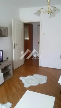 Izdavanje, dvosoban stan, 45m², Nova Detelinara, Novi Sad Sve Podlokacije - image 2