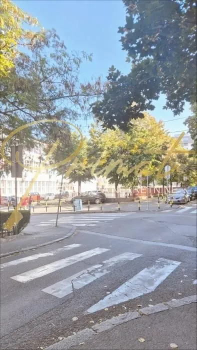 View of the street and surrounding greenery from the window.