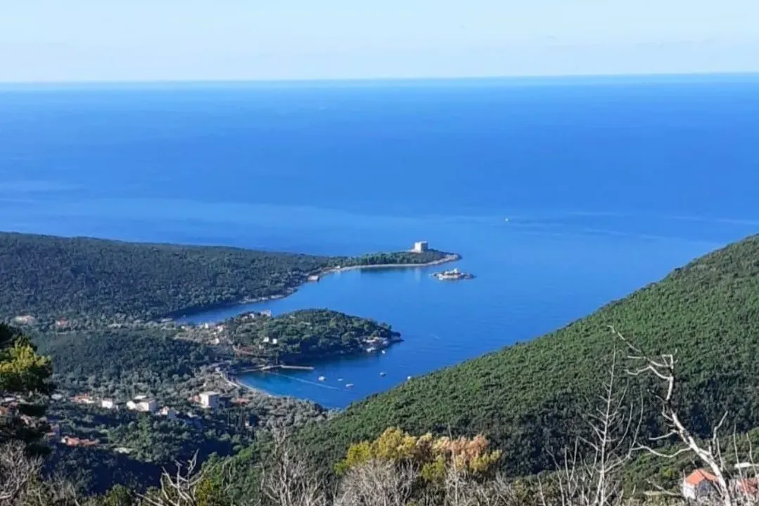 Sale, land lot, 8000m², Luštica, Tivat