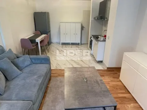 Izdavanje, dvosoban stan, 62m², Novi Beograd Sve Podlokacije, Beograd - image 7