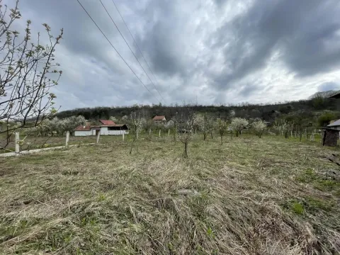 Prodaja, plac, 800m², Sremska Kamenica, Petrovaradin - image 2