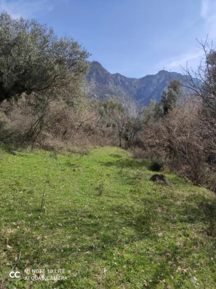 Prodaja, plac, 10490m², Risan, Kotor