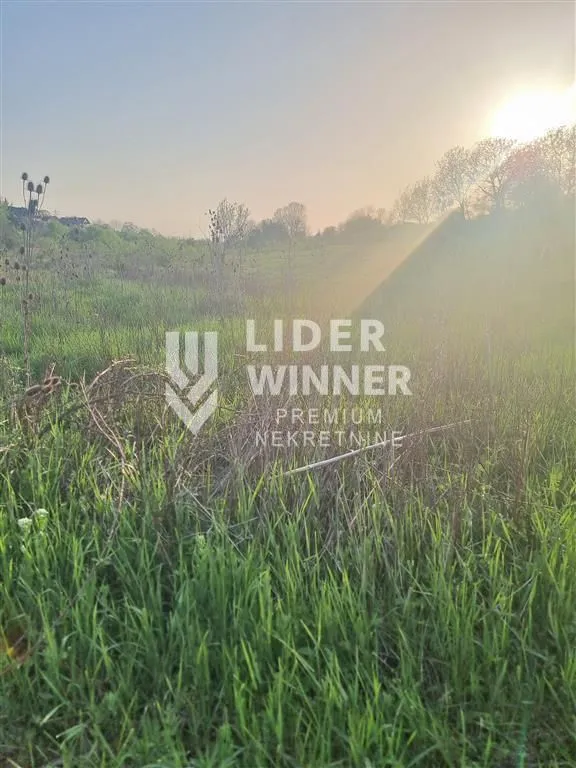 Prodaja, plac, 10000m², Jajinci, Voždovac Sve Podlokacije