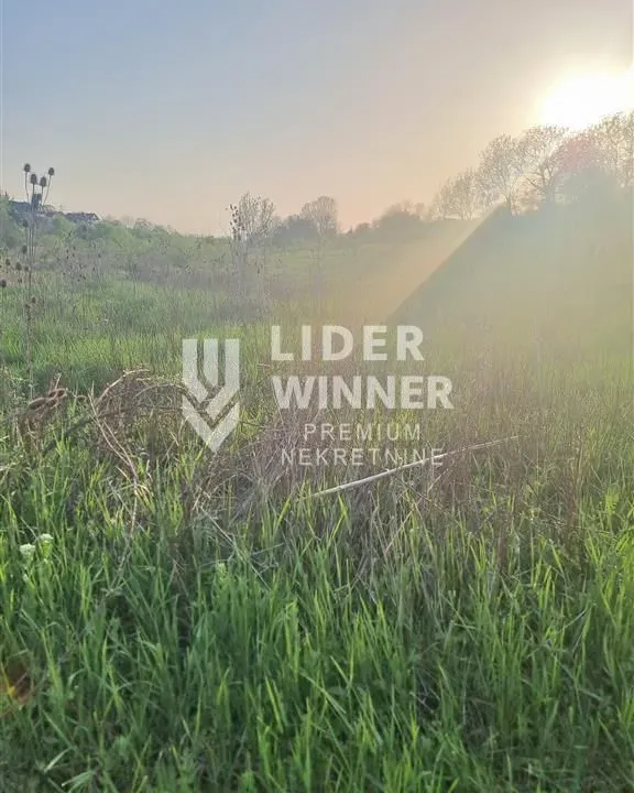 Prodaja, plac, 10000m², Jajinci, Voždovac Sve Podlokacije