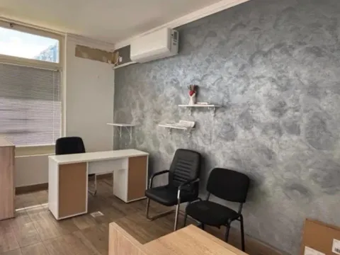 Izdavanje, poslovni prostor, 38m², Ljubović, Podgorica - image 3