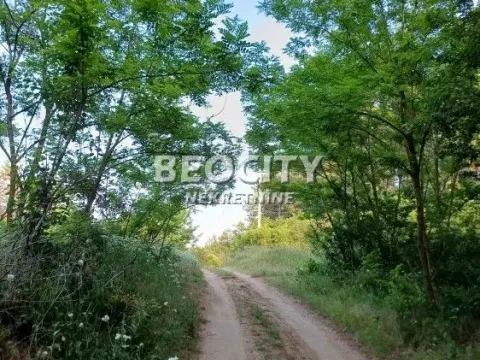 Sale, land lot, 30m², Deliblatska peščara, Bela Crkva - image 3