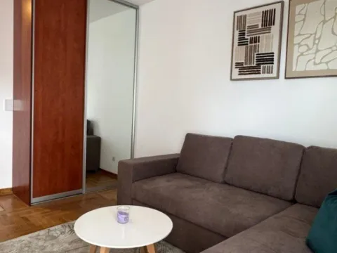 Izdavanje, jednosoban stan, 30m², Rozino, Budva - image 9