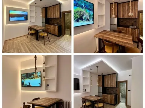 Rent, two bedroom apartment, 42m², Voždovac Sve Podlokacije, Beograd - image 3