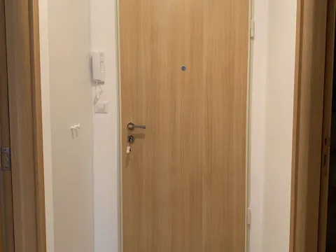 Rent, one bedroom apartment, 48m², Stari Aerodrom, Podgorica - image 3