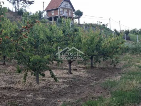 Sale, land lot, 900m², Grocka, Beograd - image 7
