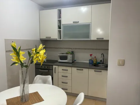 Rent, one bedroom apartment, 45m², Stari Aerodrom, Podgorica - image 2