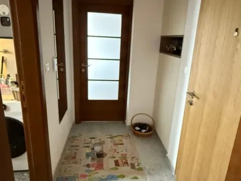 Izdavanje, jednosoban stan, 47m², Zagorič, Podgorica - image 9