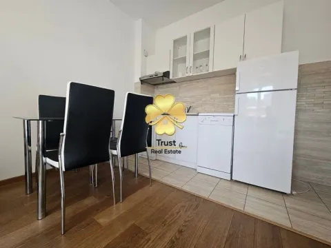 Izdavanje, garsonjera, 23m², Ljubović, Podgorica - image 4