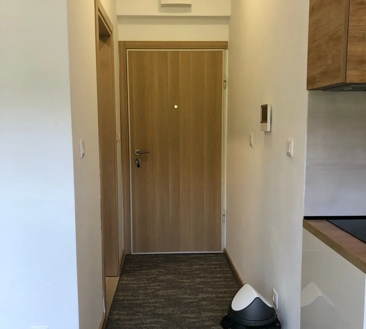 Rent, apartment, 24m², Budva, Crna Gora