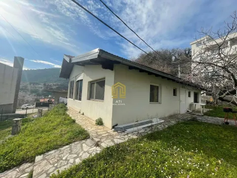 Pogled na dvorište i prizemnu kuću sa popločanim stazama. - image 2