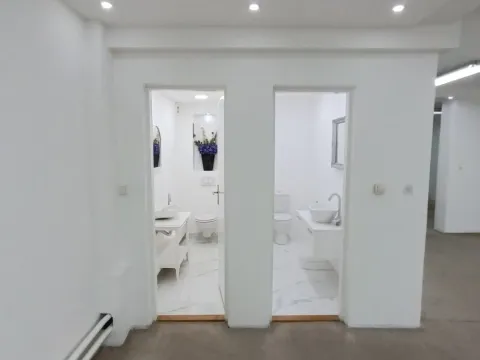 Izdavanje, poslovni prostor, 120m², Vračar Centar, Vračar Sve Podlokacije - image 8
