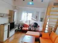 Izdavanje, stan, 65m², Botanička Bašta, Palilula Sve Podlokacije - image 3