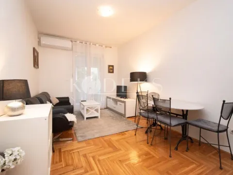 Izdavanje, jednosoban stan, 47m², Stari Aerodrom, Podgorica - image 3