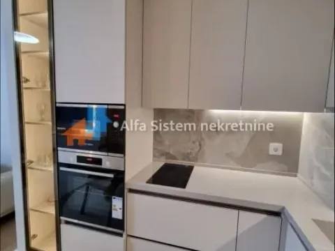 Izdavanje, dvosoban stan, 57m², Savski Venac, Beograd - image 5