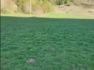 Sale, land lot, 70000m², Veruša, Podgorica - image 11