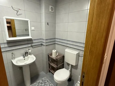 Stan-na-dan, jednosoban stan, 50m², Tuški Put, Podgorica - image 17
