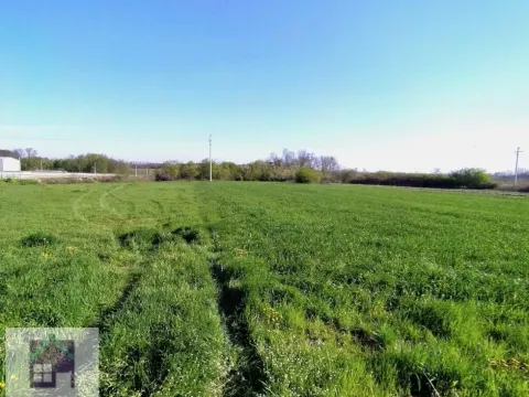 Sale, land lot, 240m², Stublenica, Ub - image 6