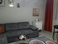 Izdavanje, jednosoban stan, 47m², Centar, Podgorica - image 3