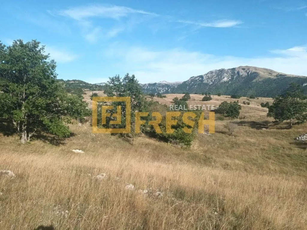 Prodaja, plac, 9000m², Plužine, Crna Gora