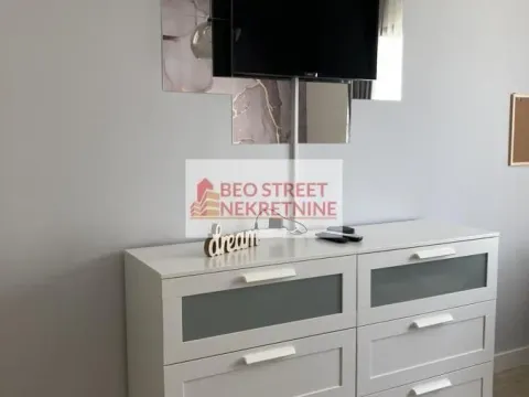 Izdavanje, dvosoban stan, 50m², Savski Venac, Beograd - image 9