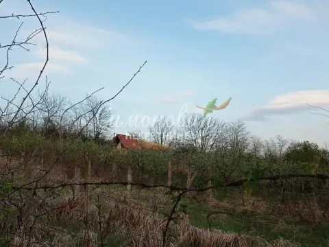 Sale, land lot, 2000m², Železnik, Beograd - image 4