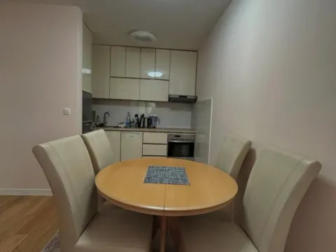 Izdavanje, jednosoban stan, 50m², Central Point, Podgorica - image 6