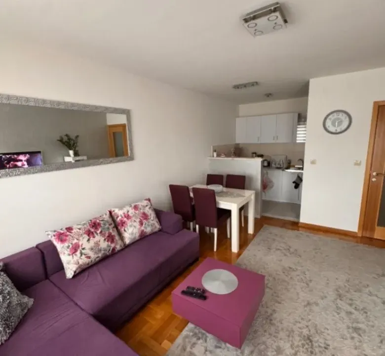 Izdavanje, jednosoban stan, 45m², Stari Aerodrom, Podgorica