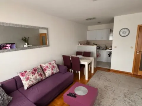 Izdavanje, jednosoban stan, 45m², Stari Aerodrom, Podgorica