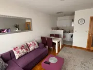 Izdavanje, jednosoban stan, 45m², Stari Aerodrom, Podgorica - image 1