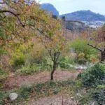 Prodaja, plac, 550m², Petrovac, Budva - image 5