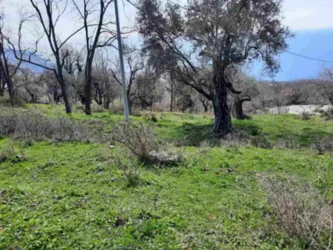 Prodaja, plac, 2600m², Dobre Vode, Bar - image 2