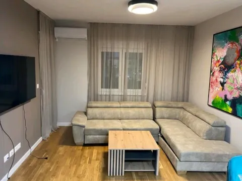 Izdavanje, jednosoban stan, 49m², Zabjelo, Podgorica - image 4