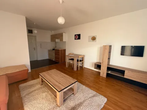 Izdavanje, jednosoban stan, 33m², Zagorič, Podgorica - image 5