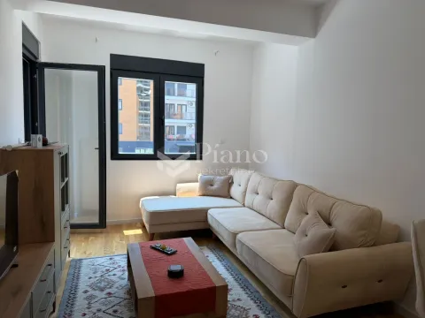 Izdavanje, jednosoban stan, 41m², Stari Aerodrom, Podgorica - image 2