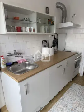 Rent, two bedroom apartment, 52m², Južni Bulevar, Vračar Sve Podlokacije - image 5