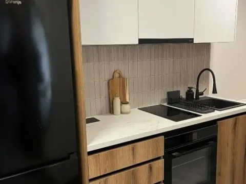 Izdavanje, jednosoban stan, 70m², Vračar Hram, Vračar Sve Podlokacije - image 7