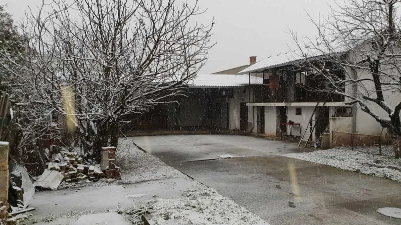 Sale, house, 83m², Telep, Novi Sad Sve Podlokacije