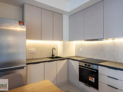 Izdavanje, dvosoban stan, 54m², Savski Venac, Beograd - image 8