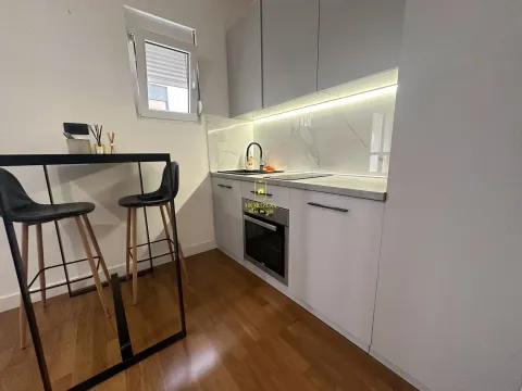 Izdavanje, garsonjera, 24m², Zagorič, Podgorica - image 3