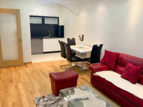 Izdavanje, jednosoban stan, 46m², City Kvart, Podgorica - image 6