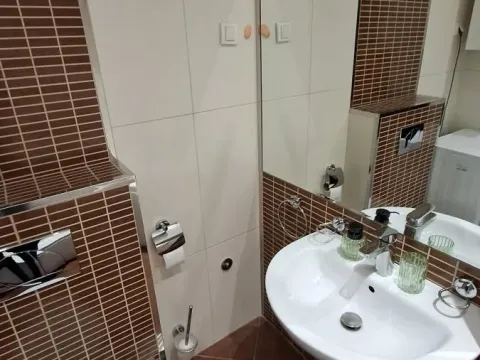 Izdavanje, dvosoban stan, 48m², Bulevar Oslobodjenja, Novi Sad Sve Podlokacije - image 14