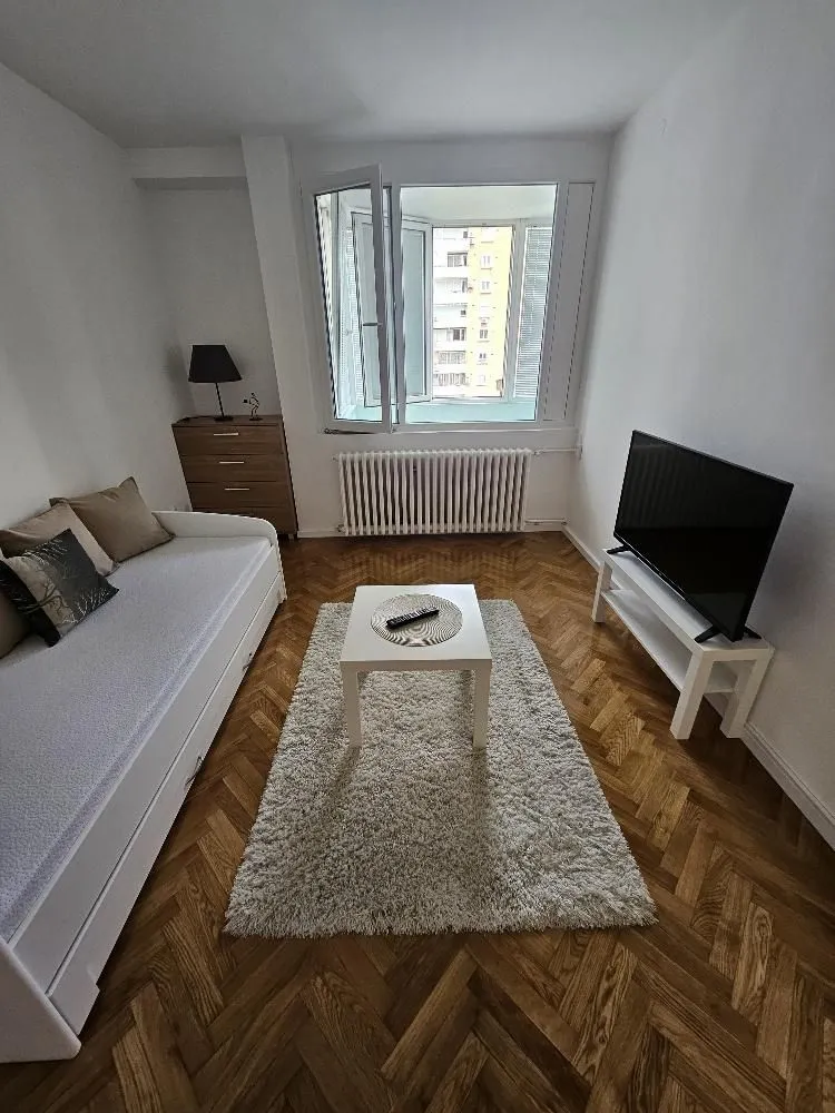 Rent, one bedroom apartment, 31m², Lion, Zvezdara Sve Podlokacije